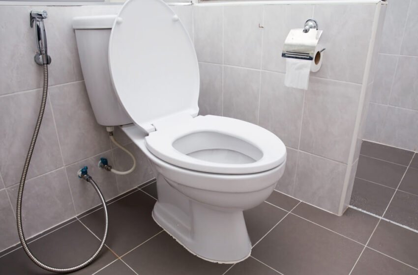 How To Choose The Best Toilet Seat